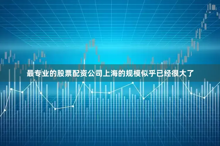 最专业的股票配资公司上海的规模似乎已经很大了