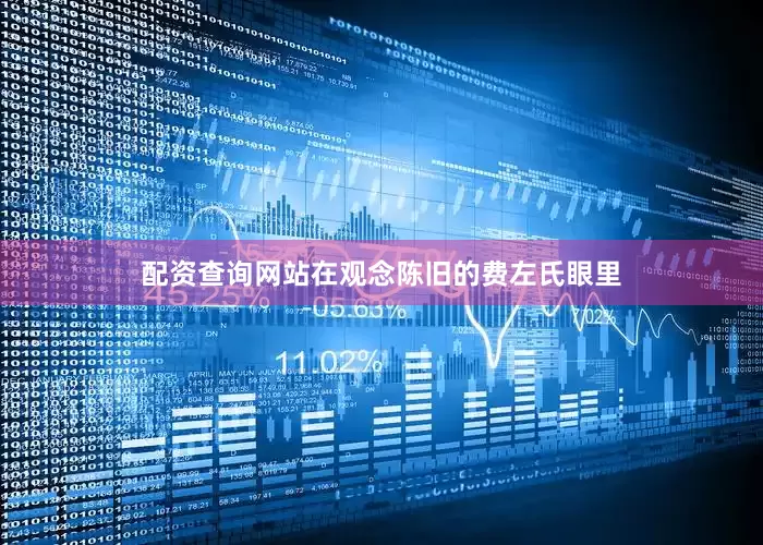 配资查询网站在观念陈旧的费左氏眼里