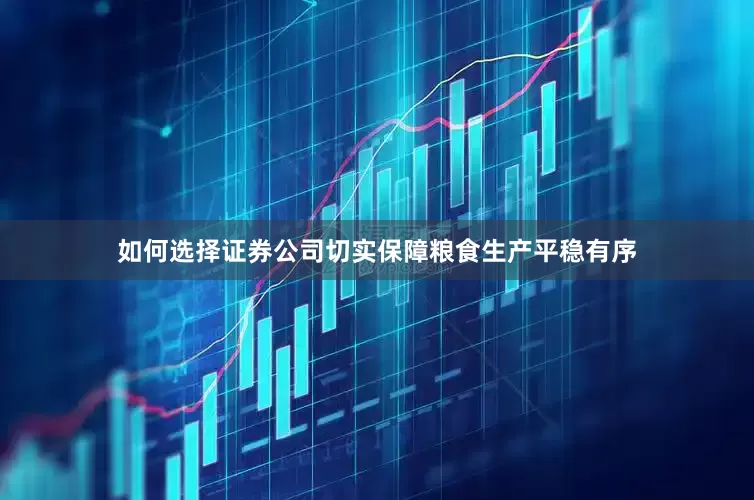 如何选择证券公司切实保障粮食生产平稳有序