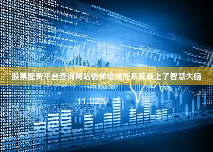 股票配资平台查询网站仿佛给储能系统装上了智慧大脑